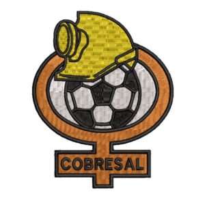 Parche Embroider Bordado cobreal