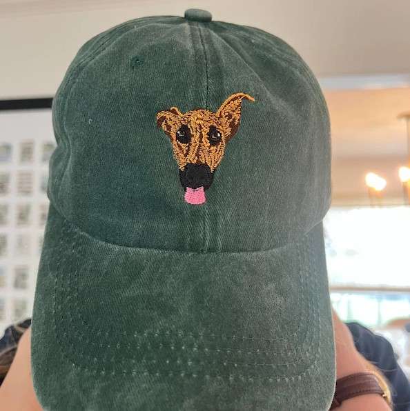 foto mascotas modelo7