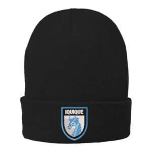 gorro beanie bordado deportes iquique (2)