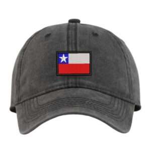 gorro jockey snapback bordado desgastado chile (3)