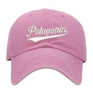 gorro jockey snapback bordado desgastado chile patagonia (2)