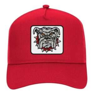 gorro jockey snapback embro bordado perro bulldog3